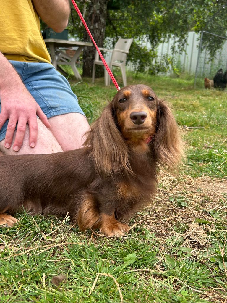 Sa majeste harriet De La Villa Bonaldi