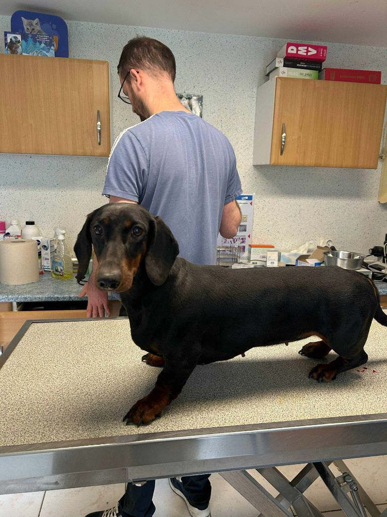 Gabéric's Unbreakable vow