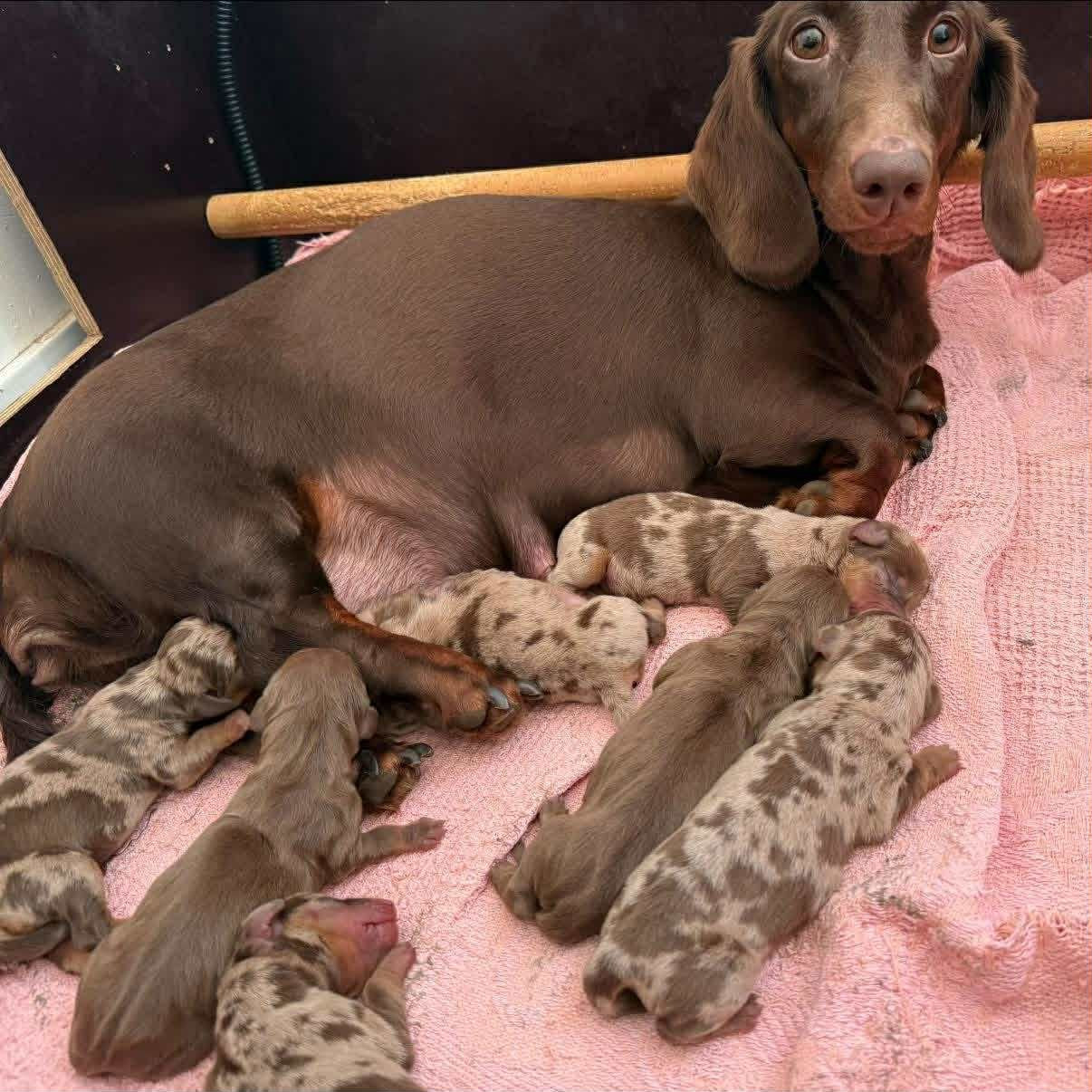 Gabéric's Ultra Flow