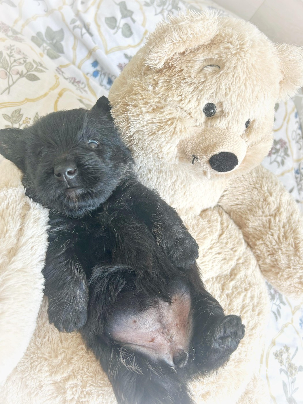 Gabéric's Unexpected Beauty