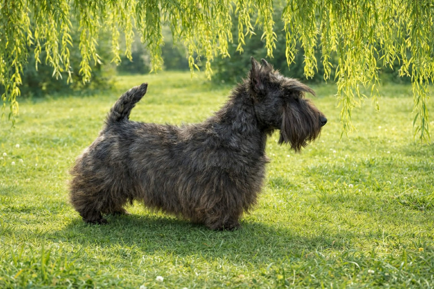 Gabéric's Victory at sea